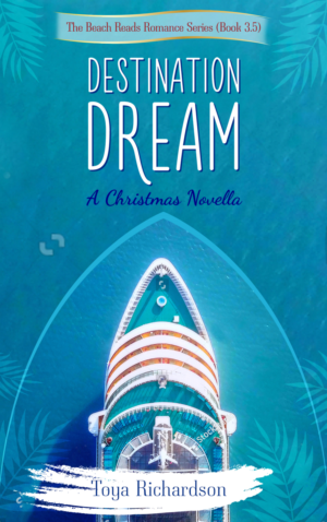 Book Cover for Destination Christmas Cruise Needed!