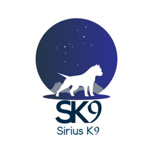 Logo Design by Foxy Designs 00