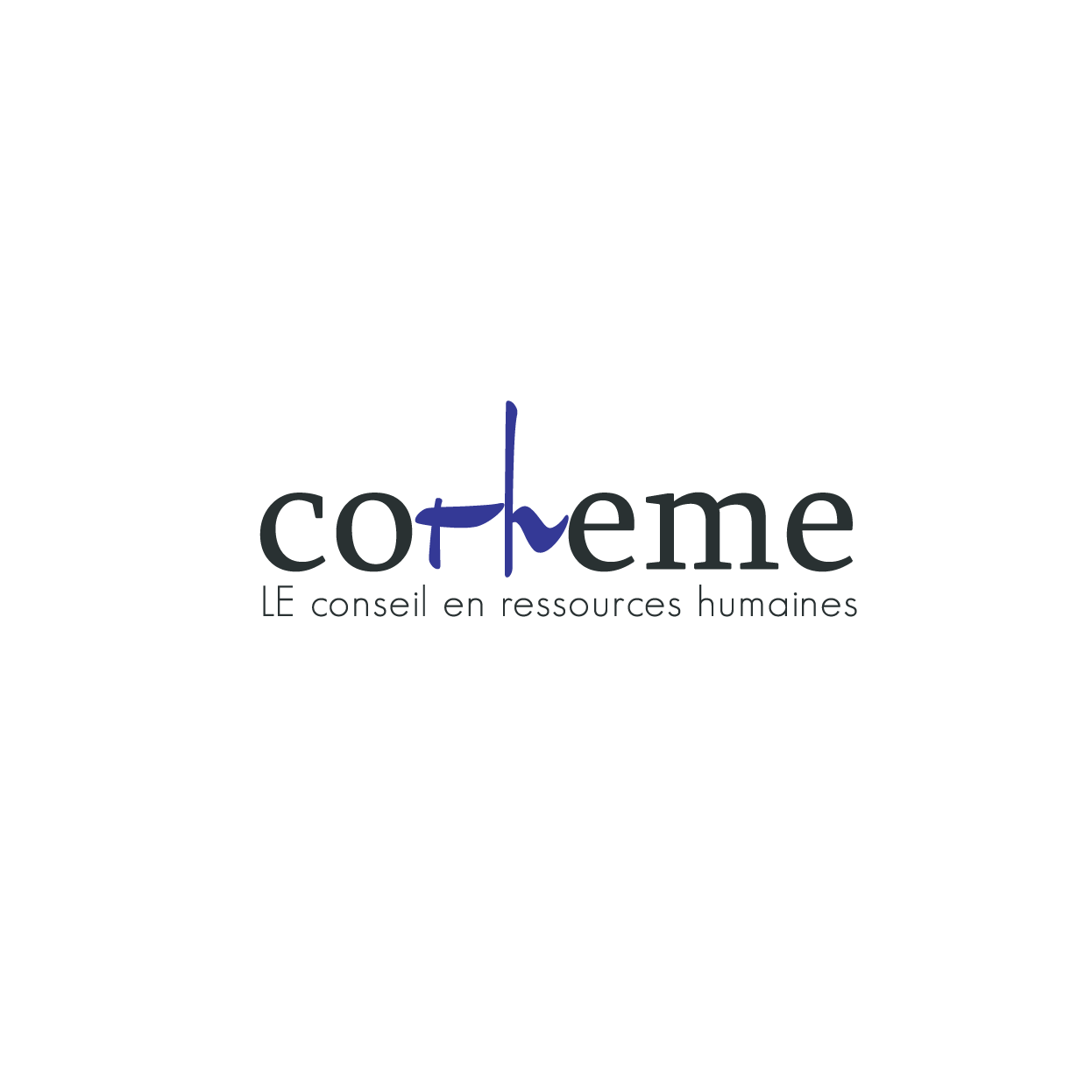 Logo Design by rozT for DIGISOFT | Design #21476845