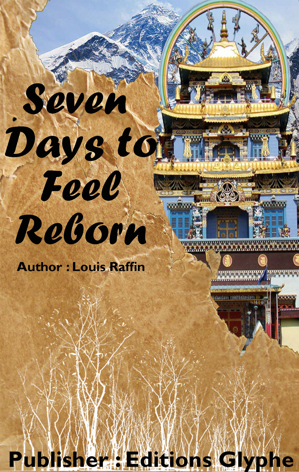 Design de Couverture de Livre par Hamzabn pour ce projet | Design #21496611