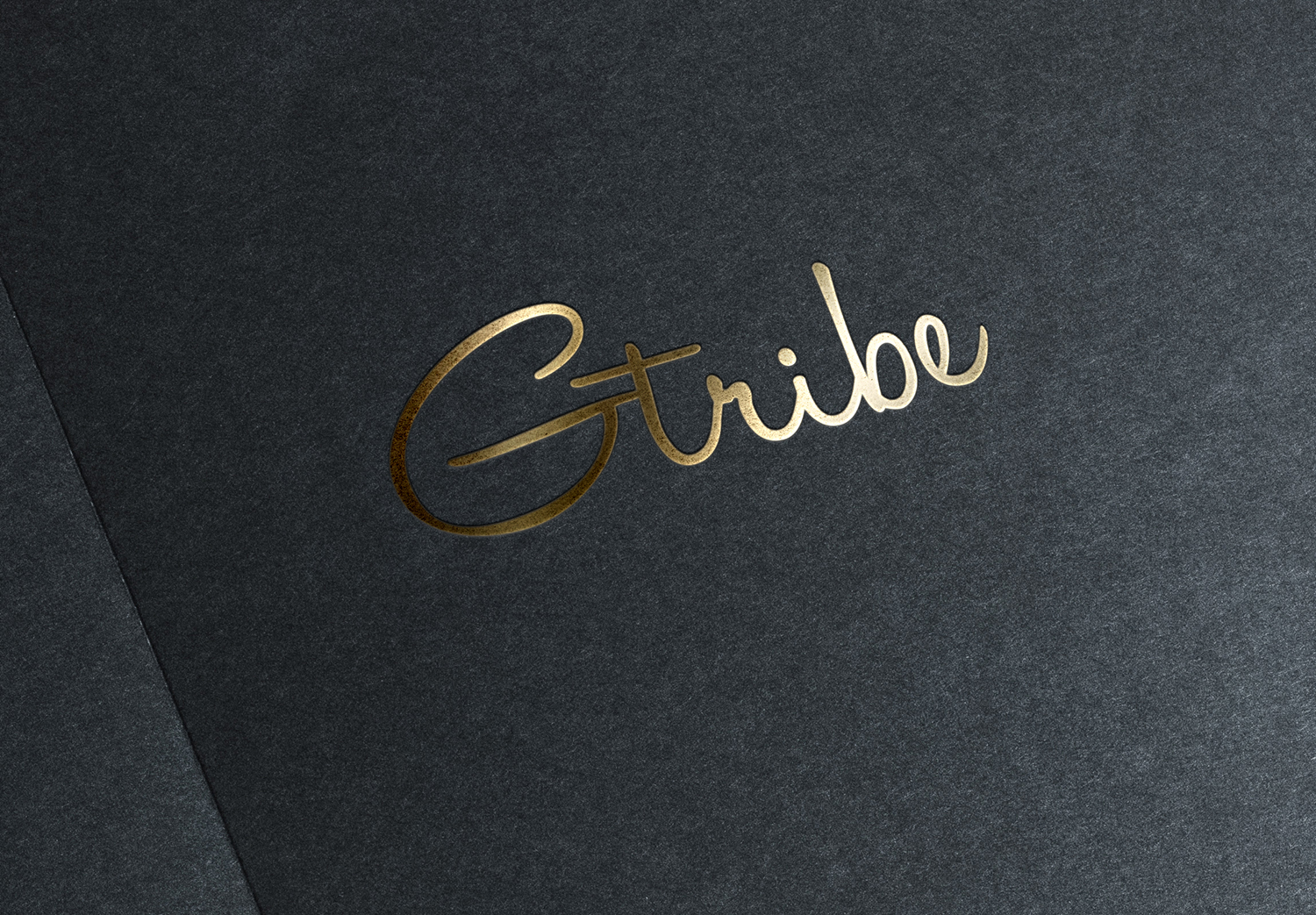 Design de Logo par IMD-HUB pour ce projet | Design #21424604