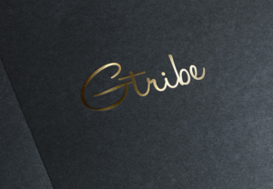 Logo Design by IMD-HUB for this project | Design: #21424604