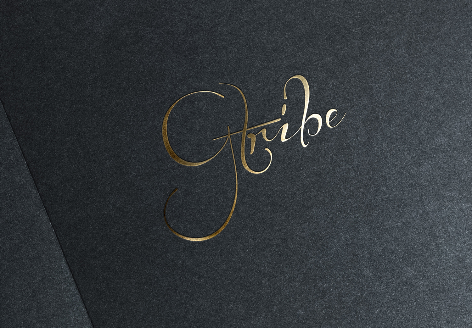 Logo Design by IMD-HUB for this project | Design #21424605