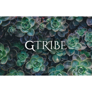 Logo Design by M6G for this project | Design: #21432490