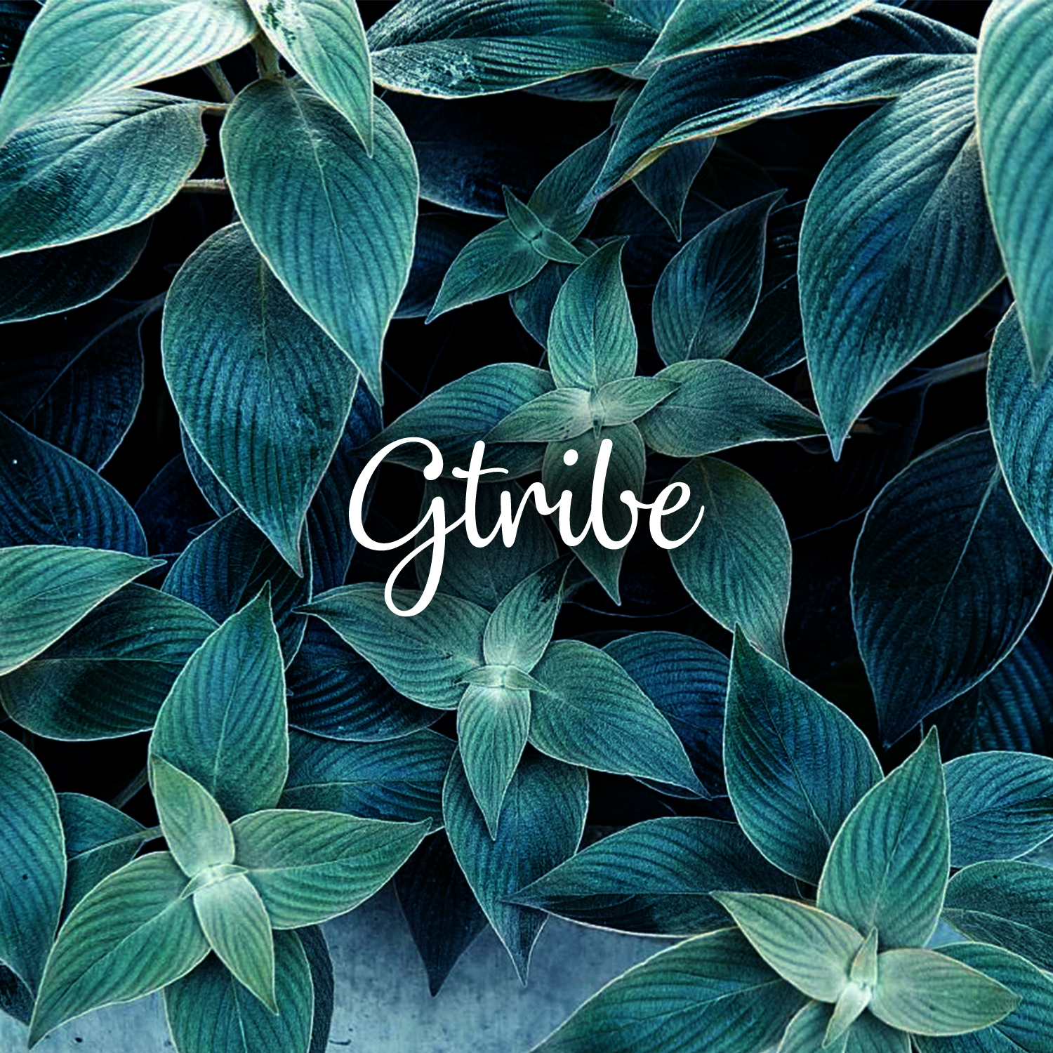 Logo Design by M6G for this project | Design #21432491