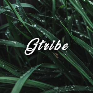 Logo Design by M6G for this project | Design: #21432492