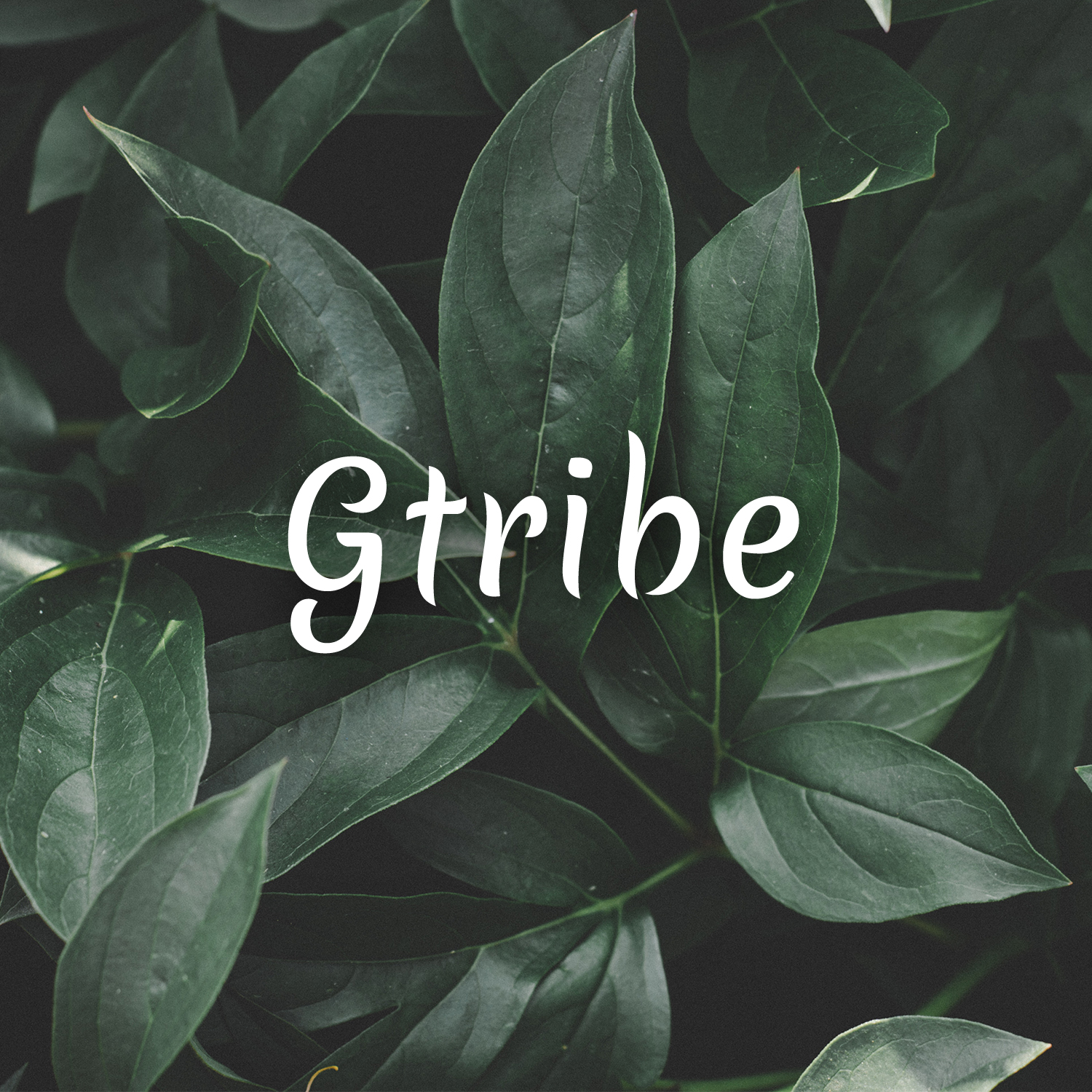 Logo Design by M6G for this project | Design #21432493
