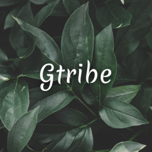 Logo Design by M6G for this project | Design: #21432493