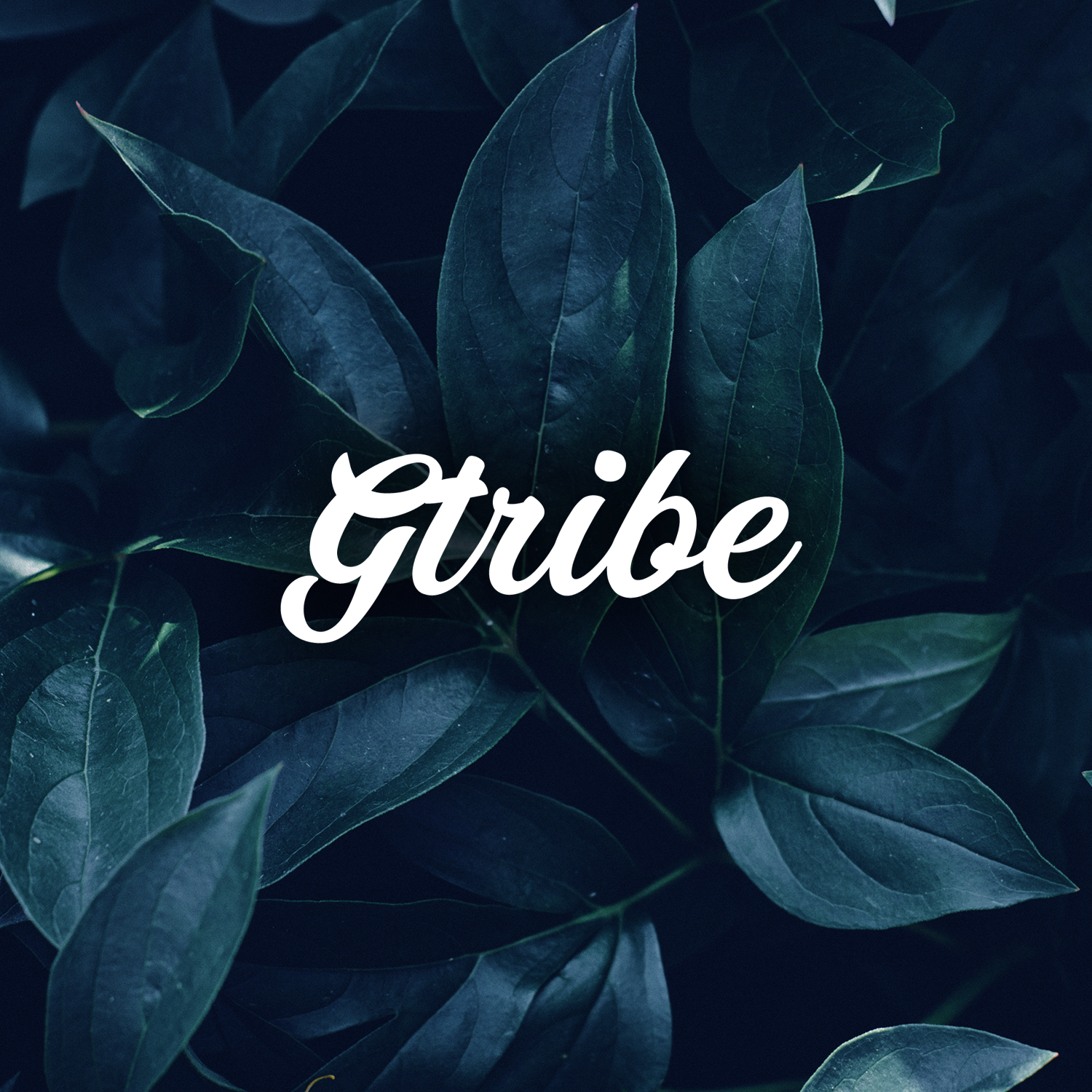 Logo Design by M6G for this project | Design #21432497