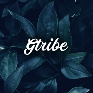 Logo Design by M6G for this project | Design: #21432497