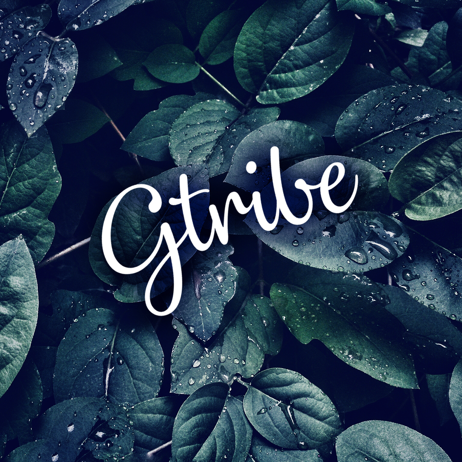 Logo Design by M6G for this project | Design #21439840