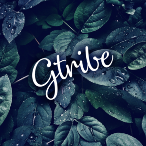 Logo Design by M6G for this project | Design: #21439840