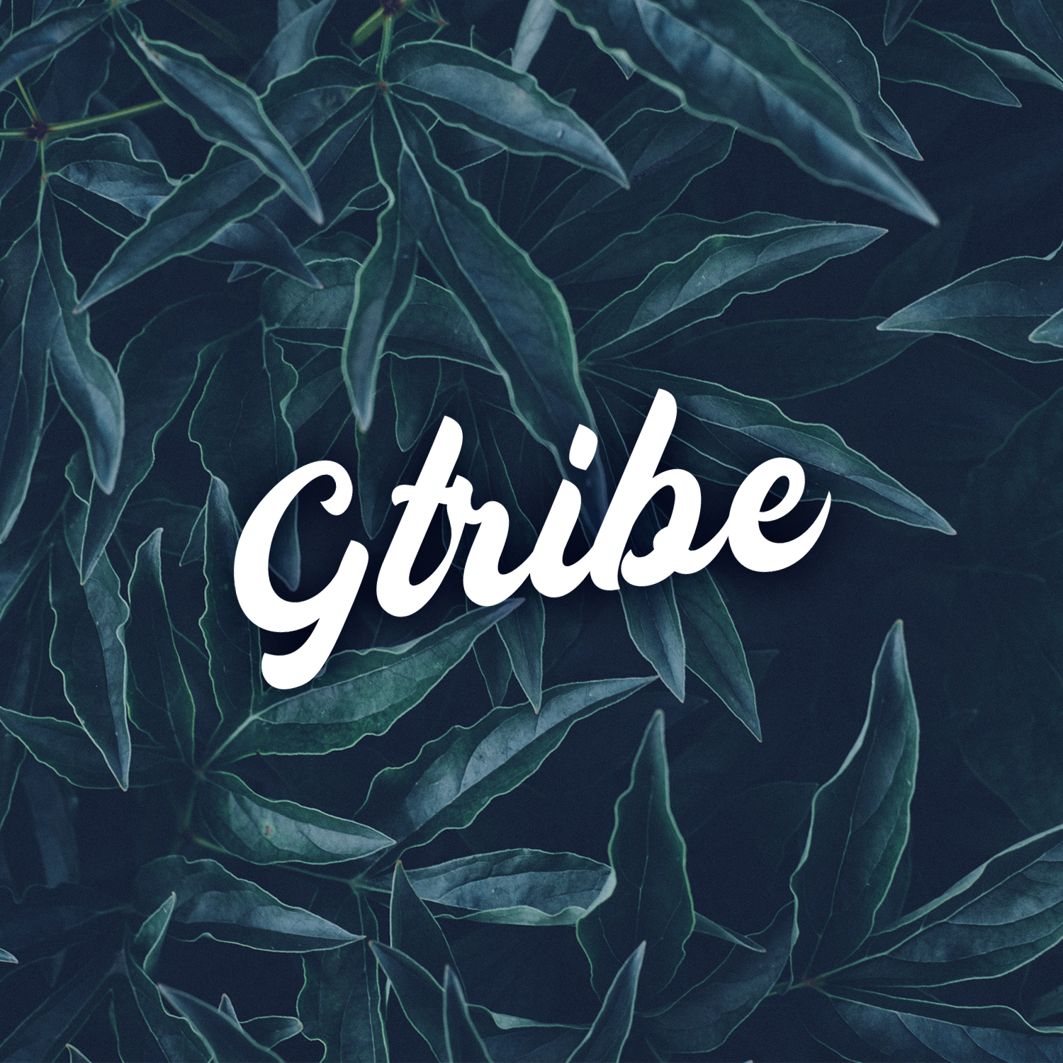 Logo Design by M6G for this project | Design #21439850