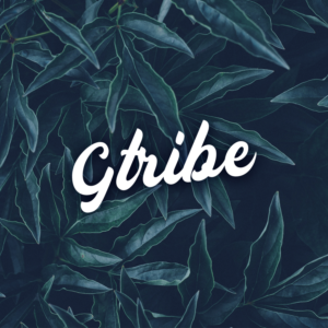 Logo Design by M6G for this project | Design: #21439850
