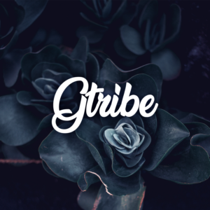Logo Design by M6G for this project | Design: #21439852