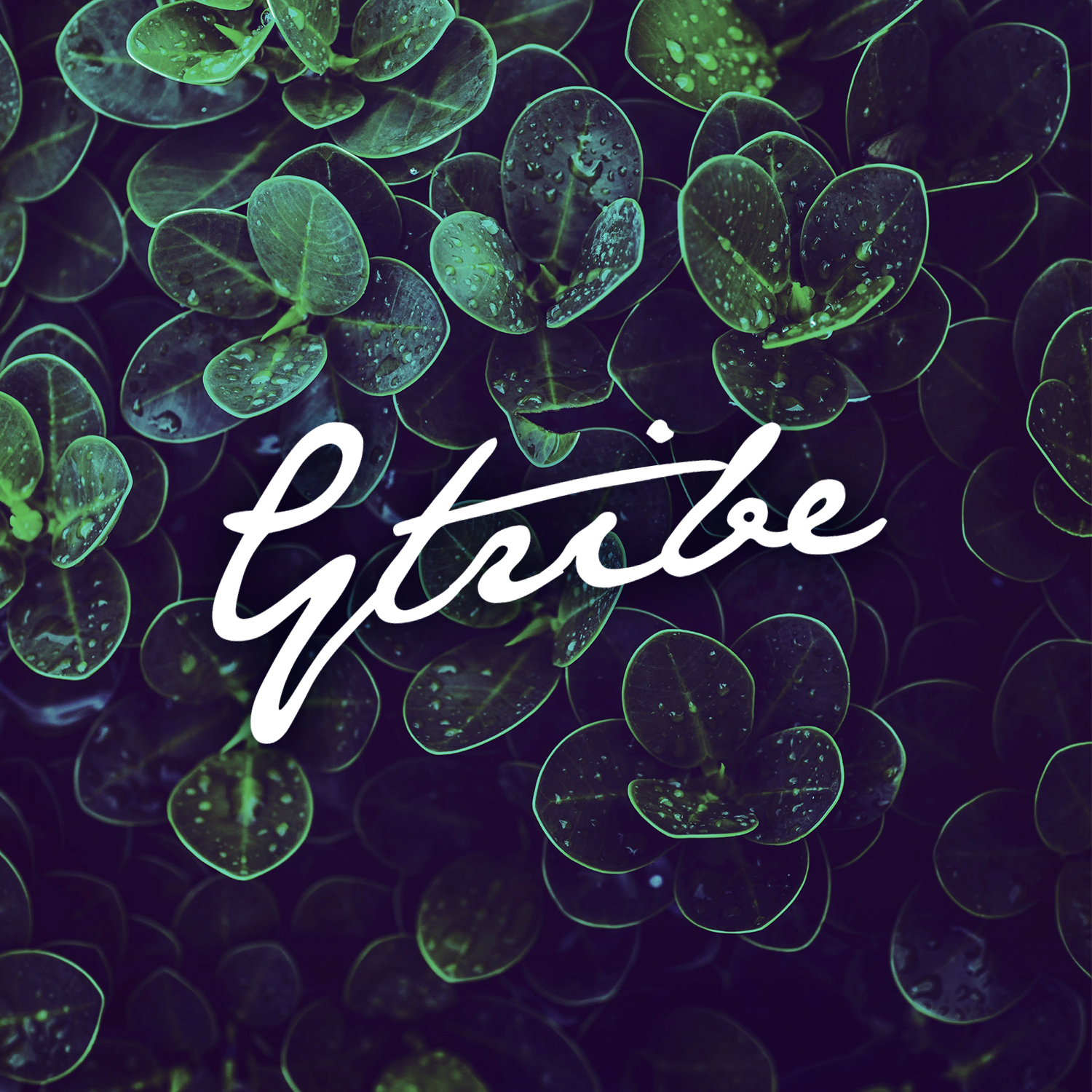 Logo Design by M6G for this project | Design #21439860