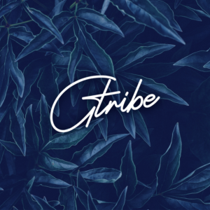 Logo Design by M6G for this project | Design: #21439862