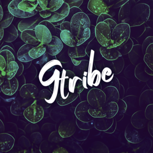 Logo Design by M6G for this project | Design: #21439866