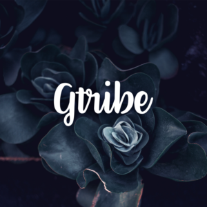 Logo Design by M6G for this project | Design: #21439871