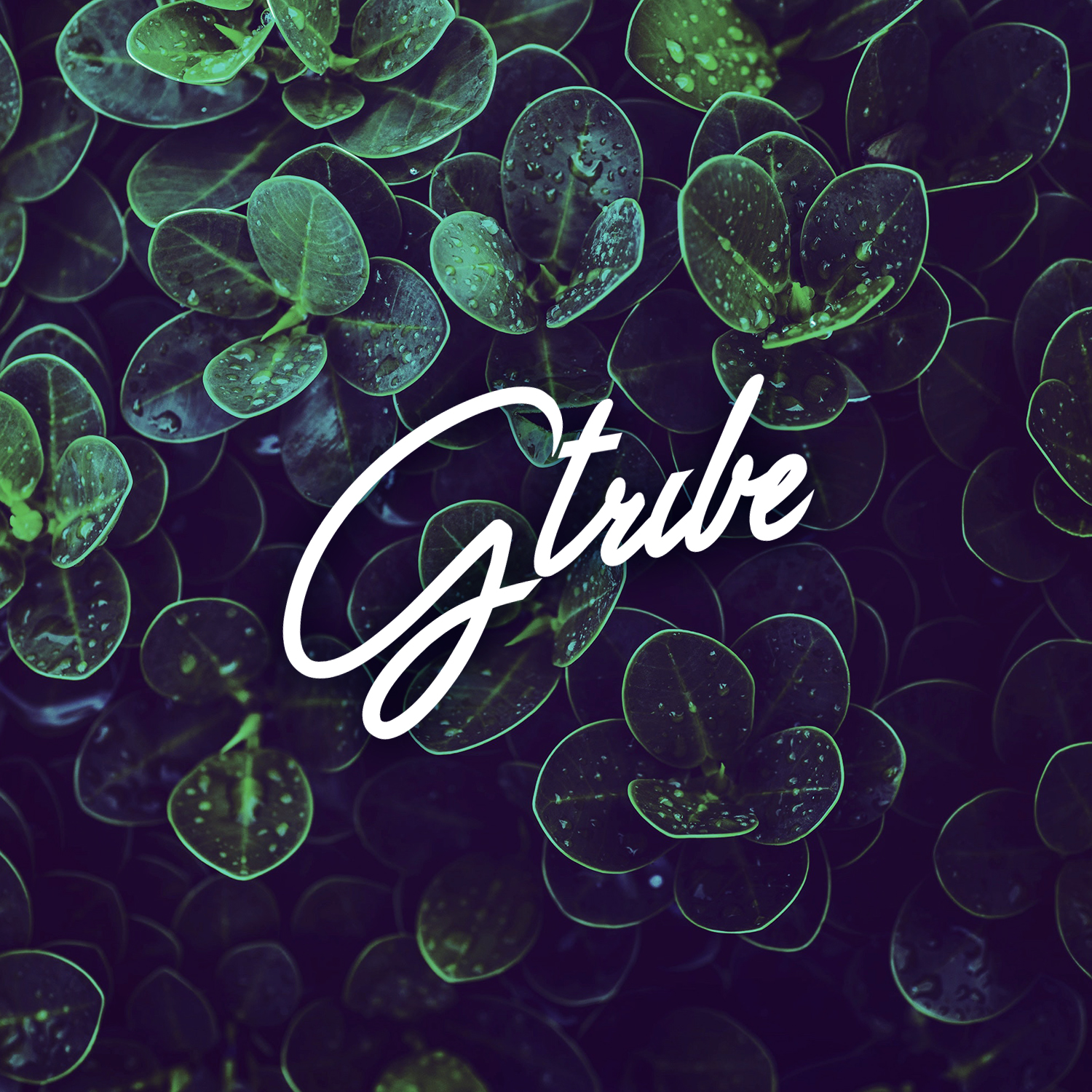 Logo Design by M6G for this project | Design #21439874