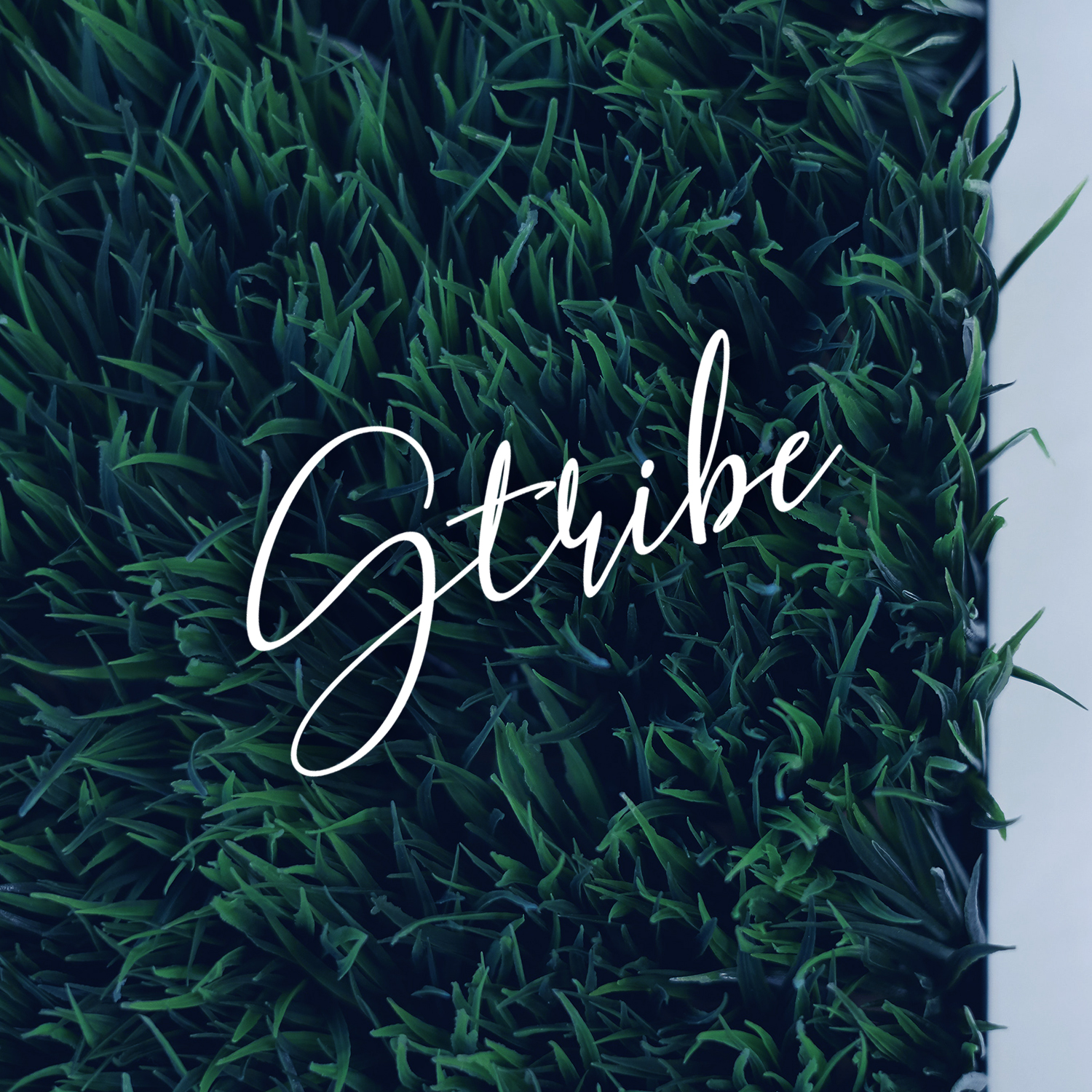 Logo Design by M6G for this project | Design #21439878