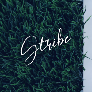 Logo Design by M6G for this project | Design: #21439878