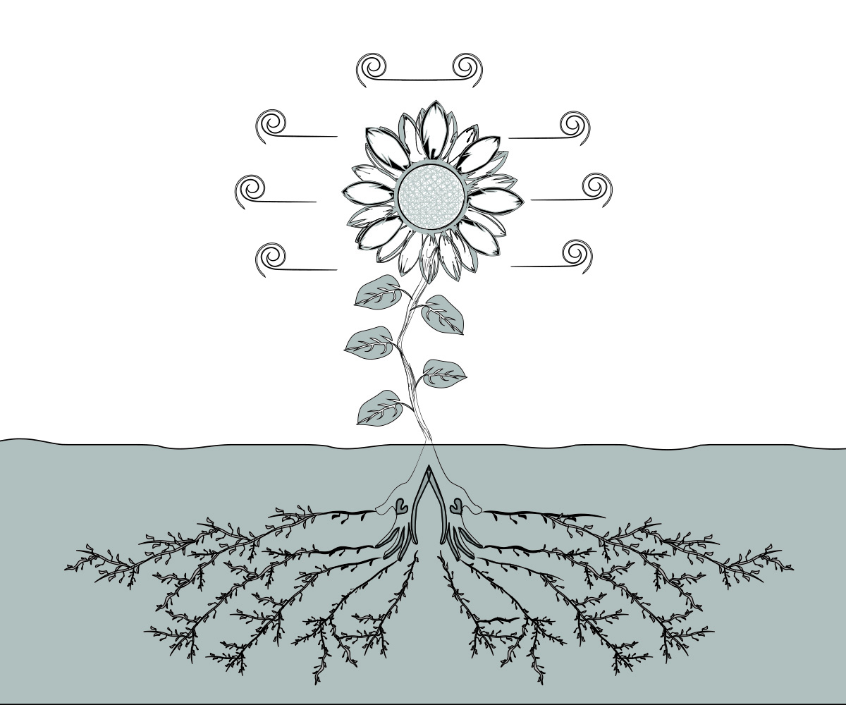 Design Vectoriel par MaxWill Design pour Eve-Volution Inc | Design #21467899