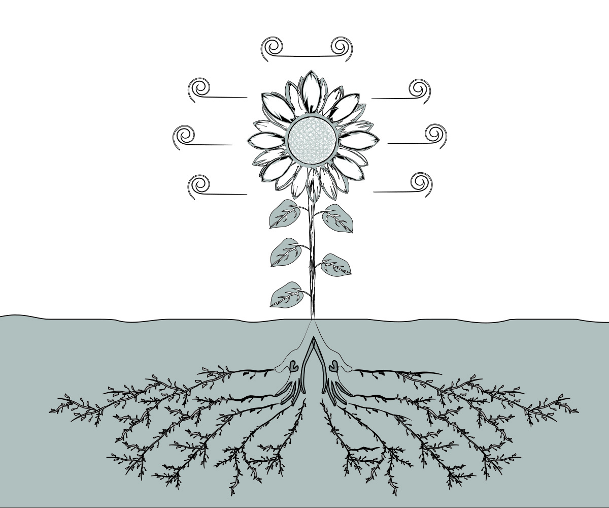 Design Vectoriel par MaxWill Design pour Eve-Volution Inc | Design #21467900