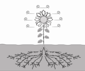 Vector Design by MaxWill Design for Eve-Volution Inc | Design: #21467900