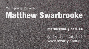 Business Card Design by Alex Tsvirko