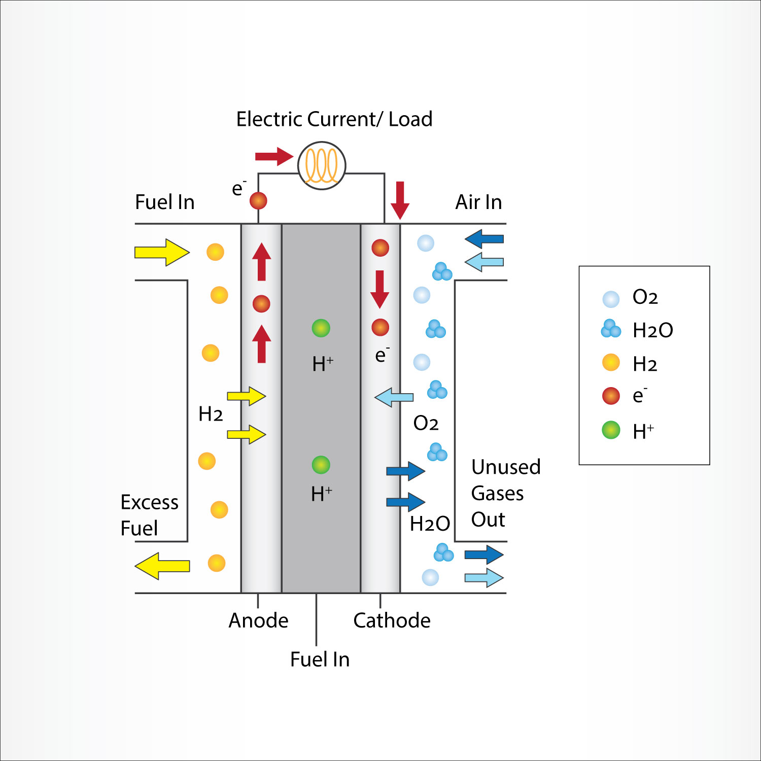 Design Graphique par Tejas_G pour ce projet | Design #21456438