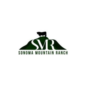 Logo Design by Jeferson HP