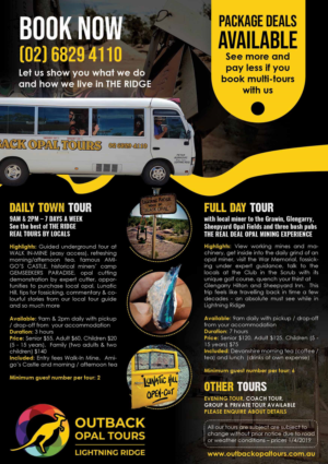 OUTBACK OPAL TOURS in Lightning Ridge. Tour operator needs a new A5 flyer for all our tours | Design de Flyer par BLUE WINGS