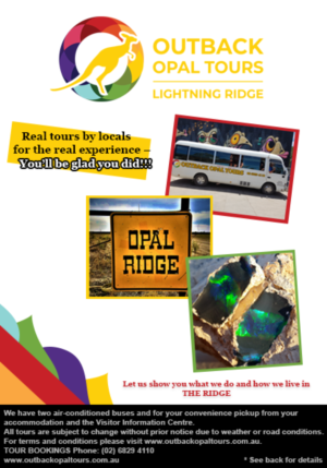 Flyer Design by Ellery Talbot