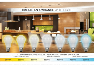 Graphic Design by Martin Alonso for this project | Design: #21464463