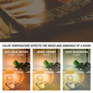 Graphic Design by SmitMangukiya for this project | Design #21474958