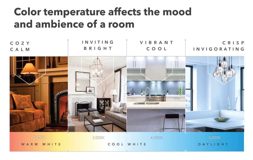 Graphic Design by Creative Solutions Media for this project | Design #21621446