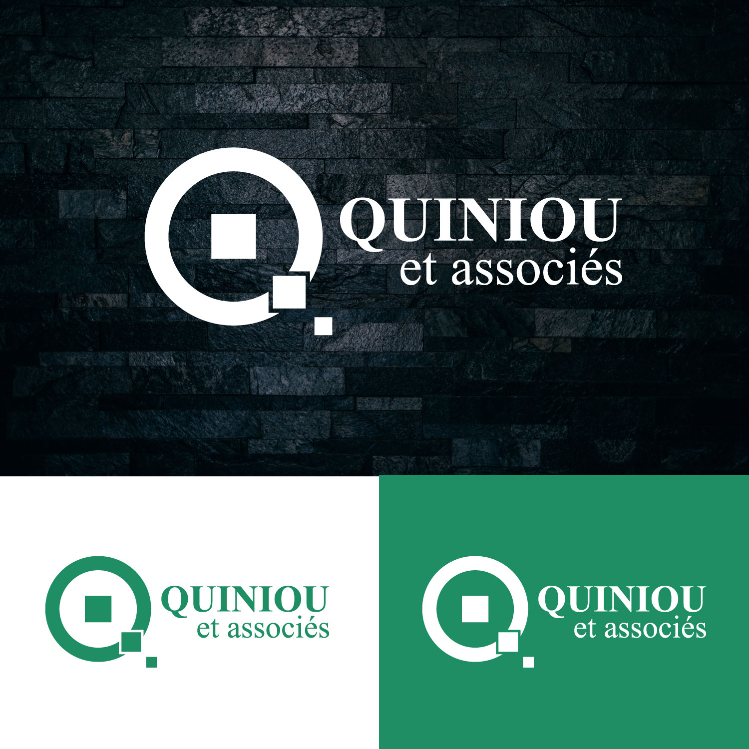 Logo Design by Rupok MT for DESTRUDATA SAS | Design #21503896
