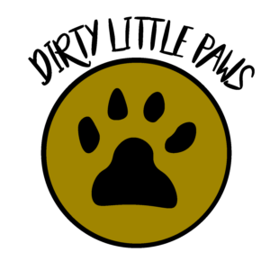 Logo Design by JeffryesDesigns