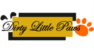 Logo Design by IMB Global