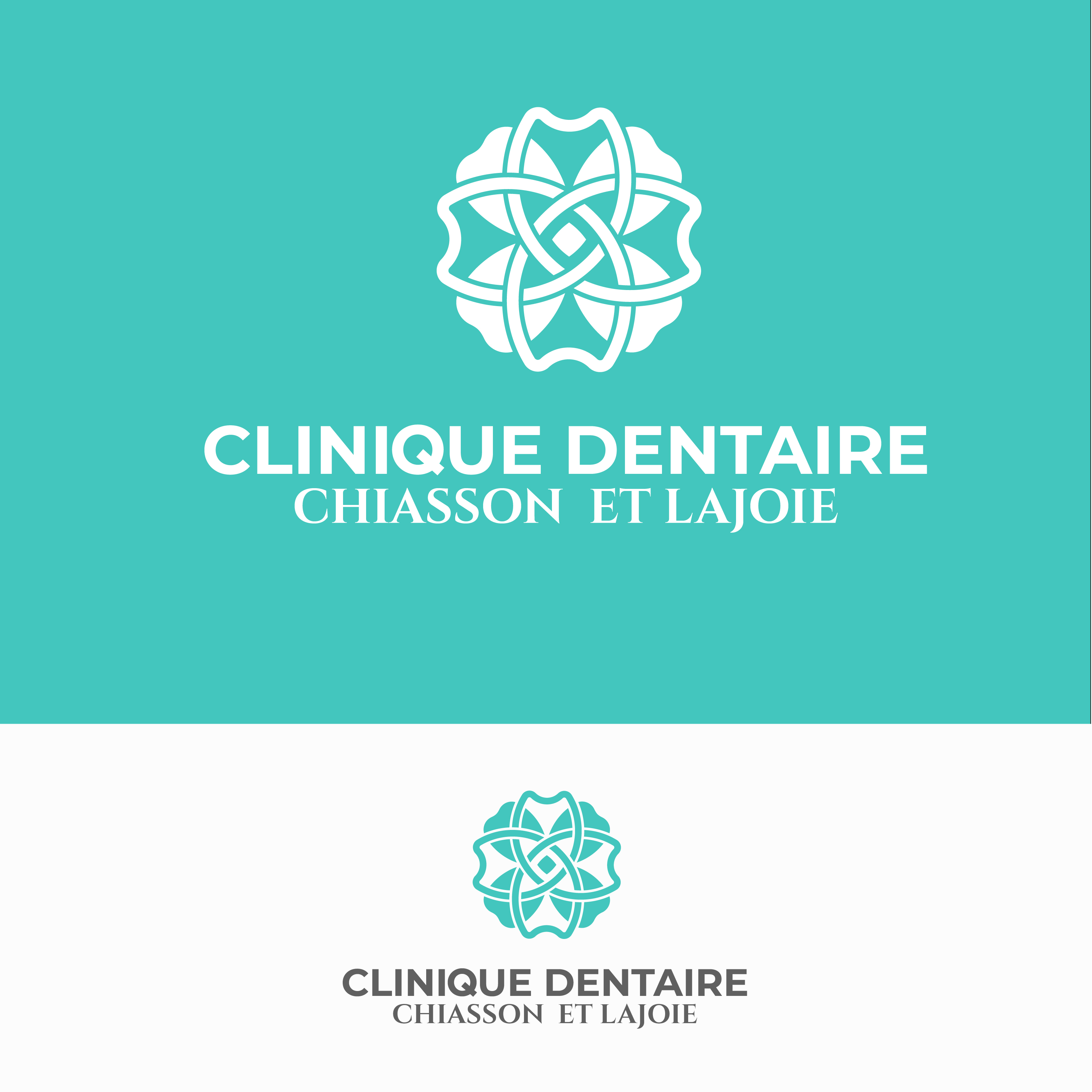 Logo-Design von Joelan B für dieses Projekt | Design #21802477