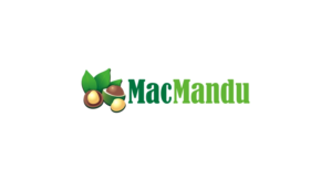 Logo Design by Borago