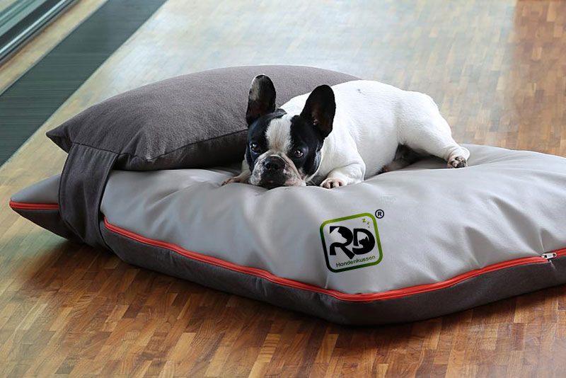 Logo-Design von graphicevolution für RD Producten | Design #21485733