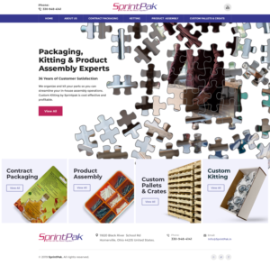 Web Design by Tushar 14 for WDD | Design #21504203