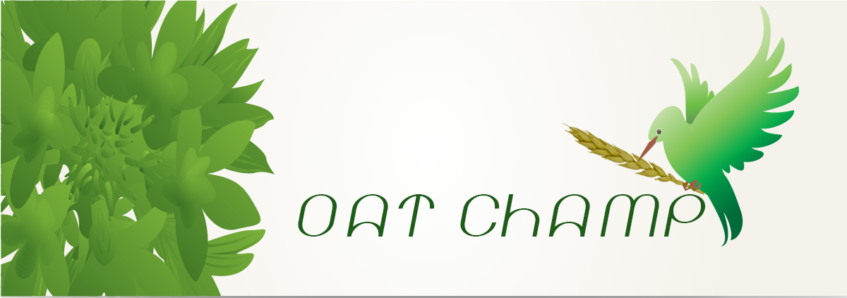 Design de Logo par fidan.metushi1 pour AusChamp | Design #2936422