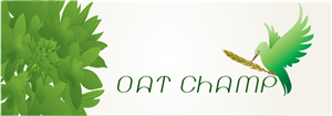 Logo Design by fidan.metushi1