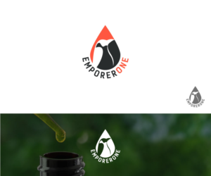 Diseño de Logo por volebaba para este proyecto | Diseño: #21479563
