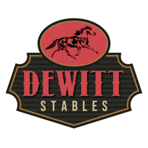 Logo Design by devilAnse