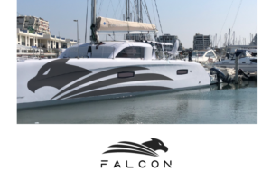 Falcon | Logo Design by jaime.sp