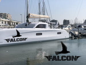 Falcon | Logo-Design von NILDesigns